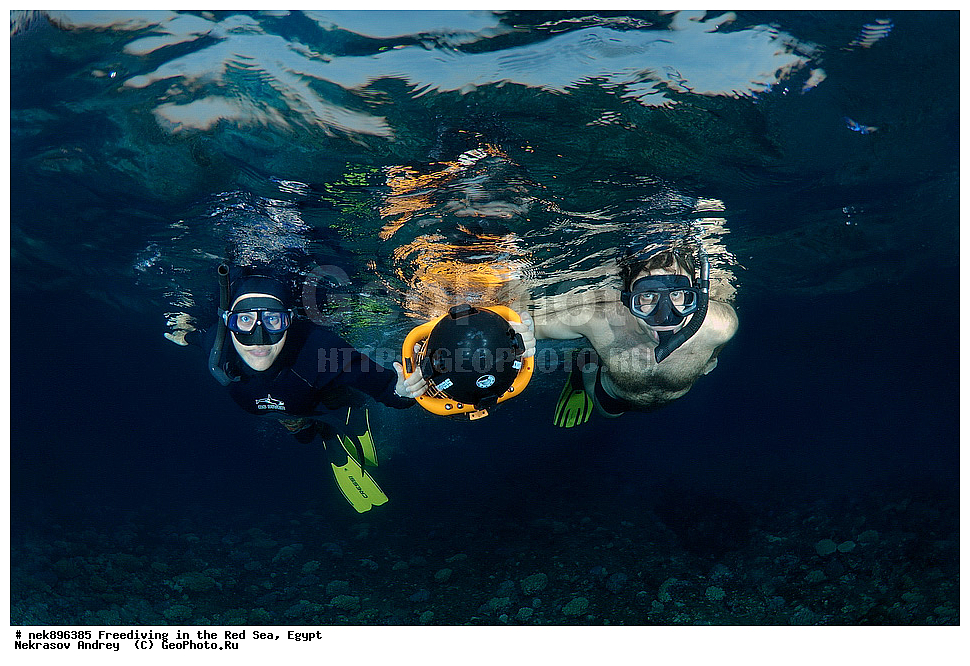 ����������, ������� ����, ����, ������, ������, ���������, ����������, �����, ��������, ���������, ������, �����, �����, �������, �������������, ���, ������, ���������, ��������, ���������, ��������� ���, ���������, ����������, ���������, ��� �����, ������, ����������������, ������, ��������� ������, ���������  ����������������, ��������� ������, �����������, ��������� �����������