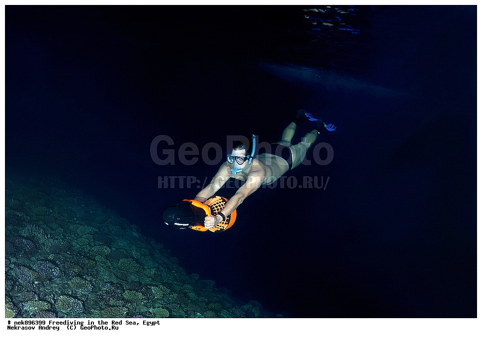 ����������, ������� ����, ����, ������, ������, ���������, ����������, �����, ��������, ���������, ������, �����, �����, �������, �������������, ���, ������, ���������, ��������, ���������, ��������� ���, ���������, ����������, ���������, ��� �����, ������, ����������������, ������, ��������� ������, ���������  ����������������, ��������� ������, �����������, ��������� �����������