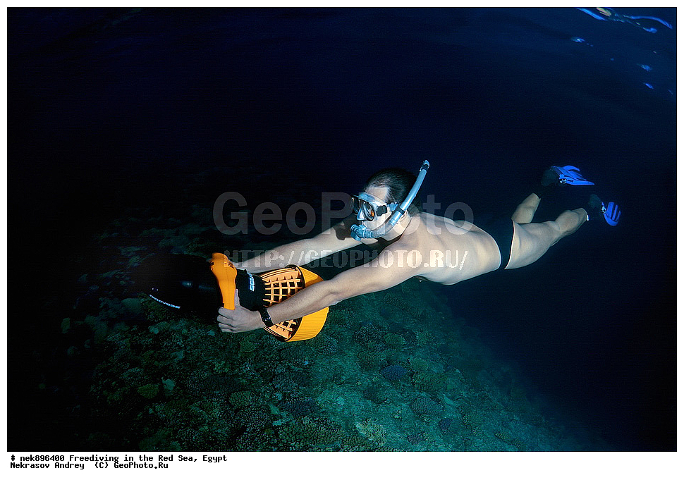 ����������, ������� ����, ����, ������, ������, ���������, ����������, �����, ��������, ���������, ������, �����, �����, �������, �������������, ���, ������, ���������, ��������, ���������, ��������� ���, ���������, ����������, ���������, ��� �����, ������, ����������������, ������, ��������� ������, ���������  ����������������, ��������� ������, �����������, ��������� �����������