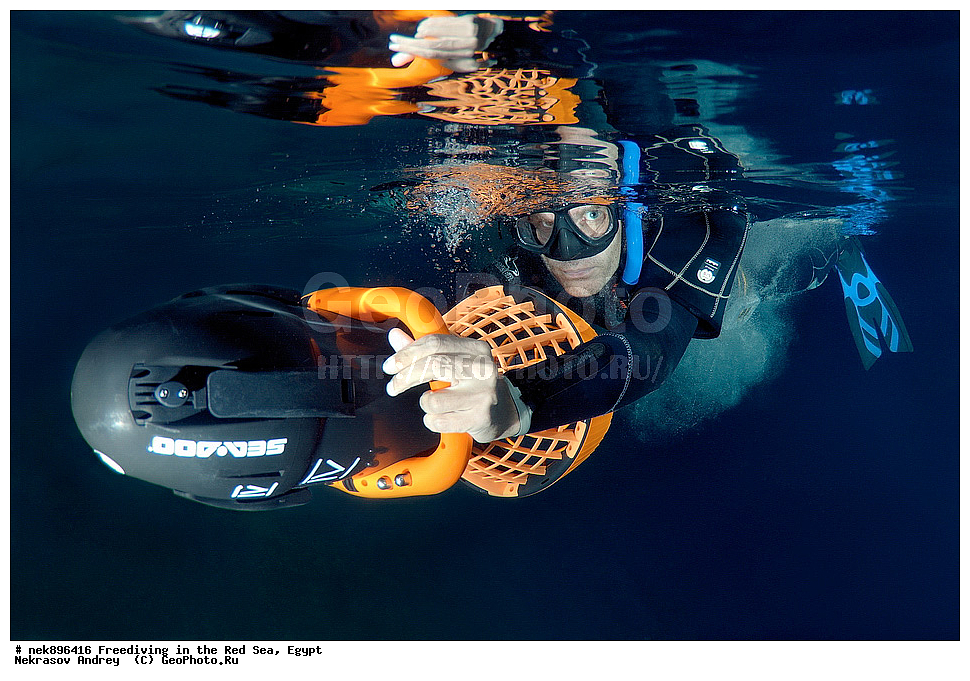 ����������, ������� ����, ����, ������, ������, ���������, ����������, �����, ��������, ���������, ������, �����, �����, �������, �������������, ���, ������, ���������, ��������, ���������, ��������� ���, ���������, ����������, ���������, ��� �����, ������, ����������������, ������, ��������� ������, ���������  ����������������, ��������� ������, �����������, ��������� �����������