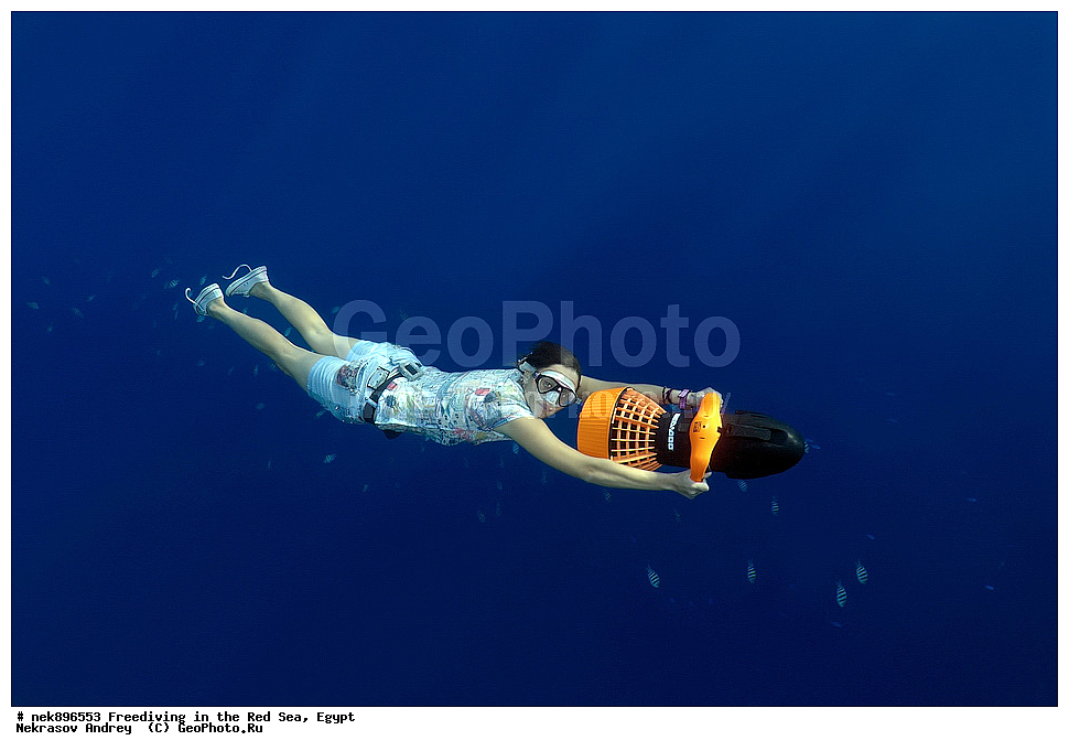 ����������, ������� ����, ����, ������, ������, ���������, ����������, �����, ��������, ���������, ������, �����, �����, �������, �������������, ���, ������, ���������, ��������, ���������, ��������� ���, ���������, ����������, ���������, ��� �����, ������, ����������������, ������, ��������� ������, ���������  ����������������, ��������� ������, �����������, ��������� �����������