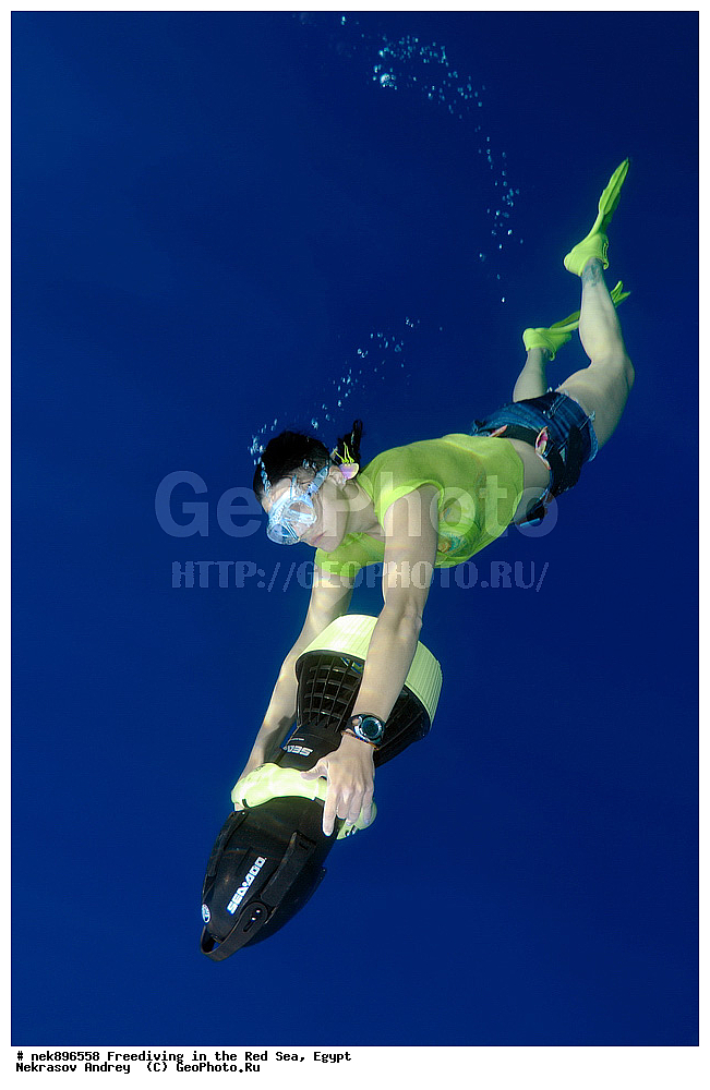 ����������, ������� ����, ����, ������, ������, ���������, ����������, �����, ��������, ���������, ������, �����, �����, �������, �������������, ���, ������, ���������, ��������, ���������, ��������� ���, ���������, ����������, ���������, ��� �����, ������, ����������������, ������, ��������� ������, ���������  ����������������, ��������� ������, �����������, ��������� �����������