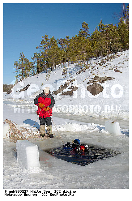 ICE diving, �������, �����������, �����������, �����������, �����������, ����� ����, ����������, ����������, ����������, �������, ��������� ���, ������, ������� �����, ���������, ����, ��������, �����������, ������������, �����, �����, ����, ������, ������, ������, �����, ������, �������, ���������, ����, ���, �������, ����������, ����������, ������, �������, �������, �������, �������, �����, ������, �����, ����, �����, ����, ������, ������, ��������, ���, ���������, ��������� ����������, ���������, ��������� ��������, ���������, ���������, ��������� ���, ��������, ���������, ���������, ��������� ��������, ���������, ���������, ��������� �������, ����������, ���������, ��������, �������, ������� ����������, �����������, �����������, �����, ������, ��������, ��������, ��������, ������, �����, ����, �������, �����, �����, ������, ������, ��������� ����, �������, �������� ����, ����������� ����, ����� ����, �����������, �����������, ����� ����