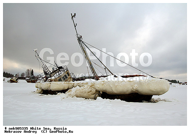 �������, �������, �����������, �����������, �����������, �����������, ����� ����, ����������, ����������, ����������, ��������, �����, ����� ����, ����, ���������, �������, �����������, ����������� ����, ����, �����, ������, ��������, ��������, ��������-�������� ����, �������, ������, ������, ��������, ��������, ��������, ������