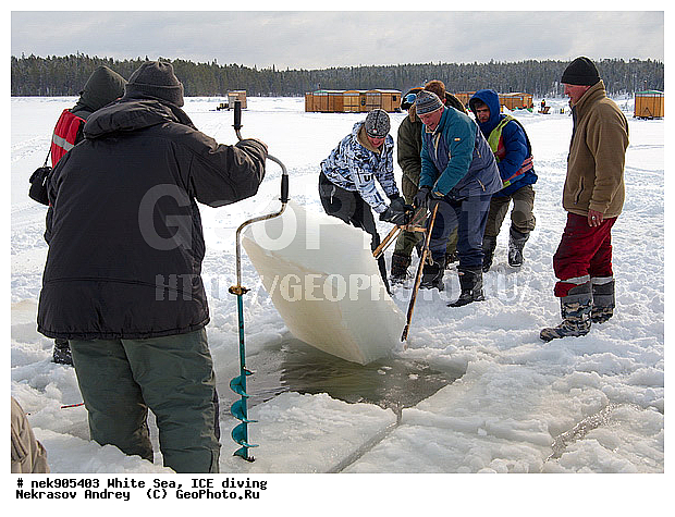 ICE diving, �������, �����������, �����������, �����������, �����������, ����� ����, ����������, ����������, ����������, �������, ��������� ���, ������, ������� �����, ��������, �����������, ������������, �����, �����, ����, ������, ������, ������, �����, ������, �������, ���������, ����, ���, �������, ����������, ����������, ������, �������, �������, �������, �������, �����, ������, �����, ����, �����, ����, ������, ������, ��������, ���, ���������, ��������� ����������, ���������, ��������� ��������, ���������, ���������, ��������� ���, ��������, ���������, ���������, ��������� ��������, ���������, ���������, ��������� �������, ����������, ���������, ��������, �����������, �����������, �����, ������, ��������, ��������, ��������, ������, �����, ����, �������, �����, �����, ������, ������, �������, �������� ����, ����������� ����, ����� ����, �����������, �����������, ����� ����