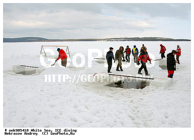ICE diving, �������, �����������, �����������, �����������, �����������, ����� ����, ����������, ����������, ����������, �������, ��������� ���, ������, ������� �����, ��������, �����������, ������������, �����, �����, ����, ������, ������, ������, �����, ������, �������, ���������, ����, ���, �������, ����������, ����������, ������, �������, �������, �������, �������, �����, ������, �����, ����, �����, ����, ������, ������, ��������, ���, ���������, ��������� ����������, ���������, ��������� ��������, ���������, ���������, ��������� ���, ��������, ���������, ���������, ��������� ��������, ���������, ���������, ��������� �������, ����������, ���������, ��������, �����������, �����������, �����, ������, ��������, ��������, ��������, ������, �����, ����, �������, �����, �����, ������, ������, �������, �������� ����, ����������� ����, ����� ����, �����������, �����������, ����� ����