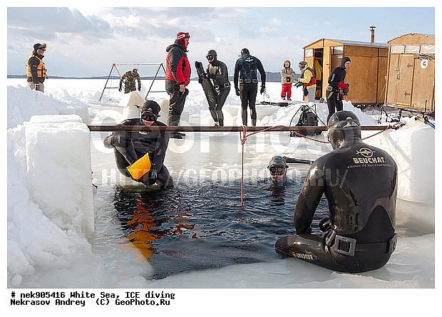 ICE diving, �������, �����������, �����������, �����������, �����������, ����� ����, ����������, ����������, ����������, �������, ��������� ���, ������, ������� �����, ��������, �����������, ������������, �����, �����, �����, ����, ������, ������, ������, �����, ������, �������, �������� �������, ���������, ����, ���, �������, ����������, ����������, ������, �������, �������, �������, �������, �����, ������, �����, ����, �����, ����, ������, ������, ��������, ���, ���������, ��������� ����������, ���������, ��������� ��������, ���������, ���������, ��������� ���, ��������, ���������, ���������, ��������� ��������, ���������, ���������, ��������� �������, ��������� ����������, ����������, ���������, ��������, �����������, �����������, �����, ������, ��������, ��������, ��������, ������, ���� �������, �����, ����, �������, �����, �����, ������, ������, ���-�������, ���������, ��� �������, ����������, �������, �������� ����, ����������� ����, ����� ����, �����������, �����������, ����� ����