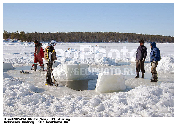 ICE diving, �������, �����������, �����������, �����������, �����������, ����� ����, ����������, ����������, ����������, �������, ��������� ���, ������, ������� �����, ��������, �����������, ������������, �����, �����, ����, ������, ������, ������, �����, ������, �������, ���������, ����, ���, �������, ����������, ����������, ������, �������, �������, �������, �������, �����, ������, �����, ����, �����, ����, ������, ������, ��������, ���, ���������, ��������� ����������, ���������, ��������� ��������, ���������, ���������, ��������� ���, ��������, ���������, ���������, ��������� ��������, ���������, ���������, ��������� �������, ����������, ���������, ��������, �����������, �����������, �����, ������, ��������, ��������, ��������, ������, �����, ����, �������, �����, �����, ������, ������, �������, �������� ����, ����������� ����, ����� ����, �����������, �����������, ����� ����