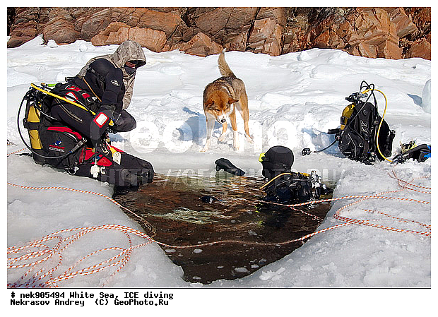 ICE diving, �������, �����������, �����������, �����������, �����������, ����� ����, ����������, ����������, ����������, �������, ��������� ���, ������, ������� �����, ��������, �����������, ������������, �����, �����, ����, ������, ������, ������, �����, ������, �������, ���������, ����, ���, �������, ����������, ����������, ������, �������, �������, �������, �������, �����, ������, �����, ����, �����, ����, ������, ������, ��������, ���, ���������, ��������� ����������, ���������, ��������� ��������, ���������, ���������, ��������� ���, ��������, ���������, ���������, ��������� ��������, ���������, ���������, ��������� �������, ����������, ���������, ��������, �����������, �����������, �����, ������, ��������, ��������, ��������, ������, �����, ����, �������, �����, �����, ������, ������, �������, �������� ����, ����������� ����, ����� ����, �����������, �����������, ����� ����