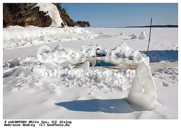 ICE diving, �������, �����������, �����������, �����������, �����������, ����� ����, ����������, ����������, ����������, �������, ��������� ���, ������, ������� �����, ��������, �����������, ������������, �����, �����, ����, ������, ������, ������, �����, ������, �������, ���������, ����, ���, �������, ����������, ����������, ������, �������, �������, �������, �������, �����, ������, �����, ����, �����, ����, ������, ������, ��������, ���, ���������, ��������� ����������, ���������, ��������� ��������, ���������, ���������, ��������� ���, ���������, ���������, ��������� ��������, ���������, ���������, ��������� �������, ����������, ���������, ��������, �����������, �����������, �����, ������, ��������, ��������, ��������, ������, �����, ����, �������, �����, �����, ������, ������, �������, �������� ����, ����������� ����, ����� ����, �����������, �����������, ����� ����