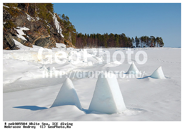 ICE diving, �������, �����������, �����������, �����������, �����������, ����� ����, ����������, ����������, ����������, �������, ��������� ���, ������, ������� �����, ��������, �����������, ������������, �����, �����, ����, ������, ������, ������, �����, ������, �������, ���������, ����, ���, �������, ����������, ����������, ������, �������, �������, �������, �������, �����, ������, �����, ����, �����, ����, ������, ������, ��������, ���, ���������, ��������� ����������, ���������, ��������� ��������, ���������, ���������, ��������� ���, ���������, ���������, ��������� ��������, ���������, ���������, ��������� �������, ����������, ���������, ��������, �����������, �����������, �����, ������, ��������, ��������, ��������, ������, �����, ����, �������, �����, �����, ������, ������, �������, �������� ����, ����������� ����, ����� ����, �����������, �����������, ����� ����