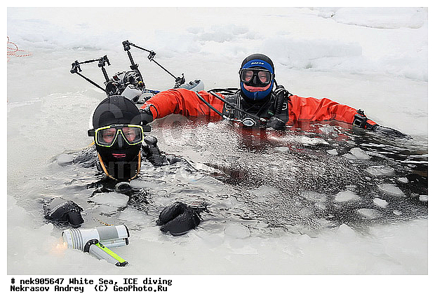 ICE diving, �������, �����������, �����������, �����������, �����������, ����� ����, ����������, ����������, ����������, �������, ��������� ���, ������, ������� �����, ��������, �����������, ������������, �����, �����, ������, ������, ����, ������, ������, ������, �����, ������, �������, ����, ���������, ����, ���, �������, ����������, ����������, ������, �������, �������, �������, �������, �����, ������, �����, ����, �����, ����, ������, ����, ������, ��������, ���, ���������, ��������� ����������, ���������, ��������� ��������, ���������, ���������, ��������� ���, ��������, ���������, ���������, ��������� ��������, ���������, ���������, ��������� �������, ����������, ���������, ��������, �����������, �����������, �����, ������, ��������, ��������, ��������, ������, �����, ����, �������, �����, �����, ������, ������, �������, �������� ����, ����������� ����, ����� ����, �����������, �����������, ����� ����