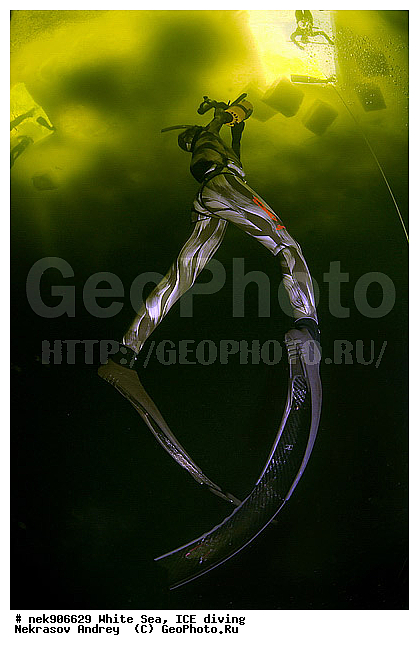 ICE diving, �������, �������, �����������, �����������, �����������, �����������, ����� ����, ����������, ����������, ����������, �������, ��������� ���, �������� ����, ������, ������� �����, ��������, �����������, ������������, �����, �����, �����, ����, ������, ������, ������, �����, ������, �������, �������� �������, ���������, ����, ���, �������, ����������, ����������, ������, �������, �������, �������, �������, �����, ������, �����, ����, �����, ����, ������, ������, ��������, ���, ���������, ��������� ����������, ���������, ��������� ��������, ���������, ���������, ��������� ���, ��������, ���������, ���������, ��������� ��������, ���������, ���������, ��������� �������, ��������� ����������, ����������, ���������, ��������, ��������, �����������, �����������, �����, ������, ��������, ��������, ��������, ������, ���� �������, �����, ����, �������, �����, �����, ������, ������, ���-�������, ���������, ����������, ��� �������, �������, �������� ����, ����������� ����, ����� ����, �����������, �����������, ����� ����