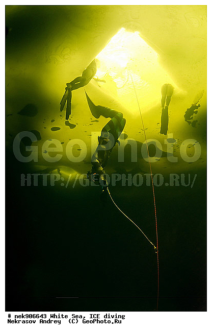 ICE diving, �������, �������, �����������, �����������, �����������, �����������, ����� ����, ����������, ����������, ����������, �������, ��������� ���, �������� ����, ������, ������� �����, ��������, �����������, ������������, �����, �����, �����, ����, ������, ������, ������, �����, ������, �������, �������� �������, ���������, ����, ���, �������, ����������, ����������, ������, �������, �������, �������, �������, �����, ������, �����, ����, �����, ����, ������, ������, ��������, ���, ���������, ��������� ����������, ���������, ��������� ��������, ���������, ���������, ��������� ���, ��������, ���������, ���������, ��������� ��������, ���������, ���������, ��������� �������, ��������� ����������, ����������, ���������, ��������, ��������, �����������, �����������, �����, ������, ��������, ��������, ��������, ������, ���� �������, �����, ����, �������, �����, �����, ������, ������, ���-�������, ���������, ����������, ��� �������, �������, �������� ����, ����������� ����, ����� ����, �����������, �����������, ����� ����