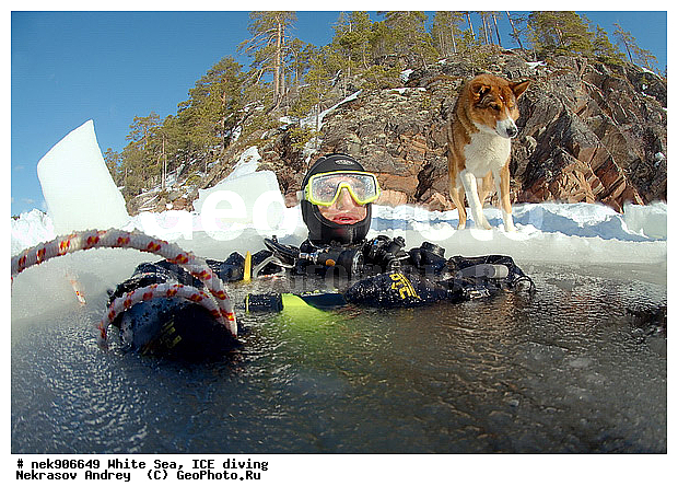 ICE diving, �������, �����������, �����������, �����������, �����������, ����� ����, ����������, ����������, ����������, �������, ��������� ���, ������, ������� �����, ��������, �����������, ������������, �����, �����, ����, ������, ������, ������, �����, ������, �������, ���������, ����, ���, �������, ����������, ����������, ������, �������, �������, �������, �������, �����, ������, �����, ����, �����, ����, ������, ������, ��������, ���, ���������, ��������� ����������, ���������, ��������� ��������, ���������, ���������, ��������� ���, ��������, ���������, ���������, ��������� ��������, ���������, ���������, ��������� �������, ����������, ���������, ��������, �����������, �����������, �����, ������, ��������, ��������, ��������, ������, �����, ����, �������, �����, �����, ������, ������, �������, �������� ����, ����������� ����, ����� ����, �����������, �����������, ����� ����