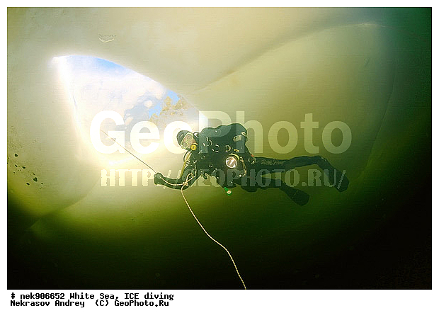 ICE diving, �������, �����������, �����������, �����������, �����������, ����� ����, ����������, ����������, ����������, �������, ��������� ���, ������, ������� �����, ��������, �����������, ������������, �����, �����, ����, ������, ������, ������, �����, ������, �������, ���������, ����, ���, �������, ����������, ����������, ������, �������, �������, �������, �������, �����, ������, �����, ����, �����, ����, ������, ������, ��������, ���, ���������, ��������� ����������, ���������, ��������� ��������, ���������, ���������, ��������� ���, ��������, ���������, ���������, ��������� ��������, ���������, ���������, ��������� �������, ����������, ���������, ��������, �����������, �����������, �����, ������, ��������, ��������, ��������, ������, �����, ����, �������, �����, �����, ������, ������, �������, �������� ����, ����������� ����, ����� ����, �����������, �����������, ����� ����