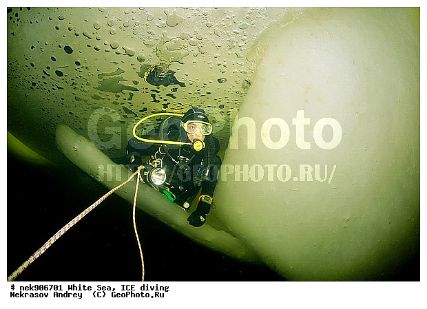 ICE diving, �������, �����������, �����������, �����������, �����������, ����� ����, ����������, ����������, ����������, �������, ��������� ���, ������, ������� �����, ��������, �����������, ������������, �����, �����, ����, ������, ������, ������, �����, ������, �������, ���������, ����, ���, �������, ����������, ����������, ������, �������, �������, �������, �������, �����, ������, �����, ����, �����, ����, ������, ������, ��������, ���, ���������, ��������� ����������, ���������, ��������� ��������, ���������, ���������, ��������� ���, ��������, ���������, ���������, ��������� ��������, ���������, ���������, ��������� �������, ����������, ���������, ��������, �����������, �����������, �����, ������, ��������, ��������, ��������, ������, �����, ����, �������, �����, �����, ������, ������, �������, �������� ����, ����������� ����, ����� ����, �����������, �����������, ����� ����