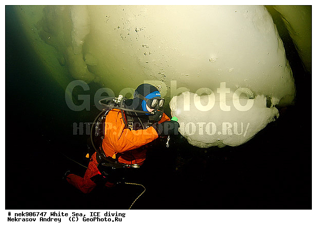 ICE diving, �������, �����������, �����������, �����������, �����������, ����� ����, ����������, ����������, ����������, �������, ��������� ���, ������, ������� �����, ��������, �����������, ������������, �����, �����, ����, ������, ������, ������, �����, ������, �������, ���������, ����, ���, �������, ����������, ����������, ������, �������, �������, �������, �������, �����, ������, �����, ����, �����, ����, ������, ������, ��������, ���, ���������, ��������� ����������, ���������, ��������� ��������, ���������, ���������, ��������� ���, ��������, ���������, ���������, ��������� ��������, ���������, ���������, ��������� �������, ����������, ���������, ��������, �����������, �����������, �����, ������, ��������, ��������, ��������, ������, �����, ����, �������, �����, �����, ������, ������, �������, �������� ����, ����������� ����, ����� ����, �����������, �����������, ����� ����