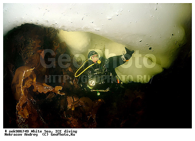 ICE diving, �������, �����������, �����������, �����������, �����������, ����� ����, ����������, ����������, ����������, �������, ��������� ���, ������, ������� �����, ��������, �����������, ������������, �����, �����, ����, ������, ������, ������, �����, ������, �������, ���������, ����, ���, �������, ����������, ����������, ������, �������, �������, �������, �������, �����, ������, �����, ����, �����, ����, ������, ������, ��������, ���, ���������, ��������� ����������, ���������, ��������� ��������, ���������, ���������, ��������� ���, ��������, ���������, ���������, ��������� ��������, ���������, ���������, ��������� �������, ����������, ���������, ��������, �����������, �����������, �����, ������, ��������, ��������, ��������, ������, �����, ����, �������, �����, �����, ������, ������, �������, �������� ����, ����������� ����, ����� ����, �����������, �����������, ����� ����
