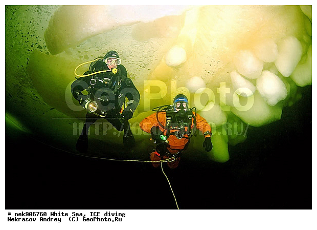 ICE diving, �������, �����������, �����������, �����������, �����������, ����� ����, ����������, ����������, ����������, �������, ��������� ���, ������, ������� �����, ��������, �����������, ������������, �����, �����, ����, ������, ������, ������, �����, ������, �������, ���������, ����, ���, �������, ����������, ����������, ������, �������, �������, �������, �������, �����, ������, �����, ����, �����, ����, ������, ������, ��������, ���, ���������, ��������� ����������, ���������, ��������� ��������, ���������, ���������, ��������� ���, ���������, ���������, ��������� ��������, ���������, ���������, ��������� �������, ����������, ���������, ��������, �����������, �����������, �����, ������, ��������, ��������, ��������, ������, �����, ����, �������, �����, �����, ������, ������, �������, �������� ����, ����������� ����, ����� ����, �����������, �����������, ����� ����