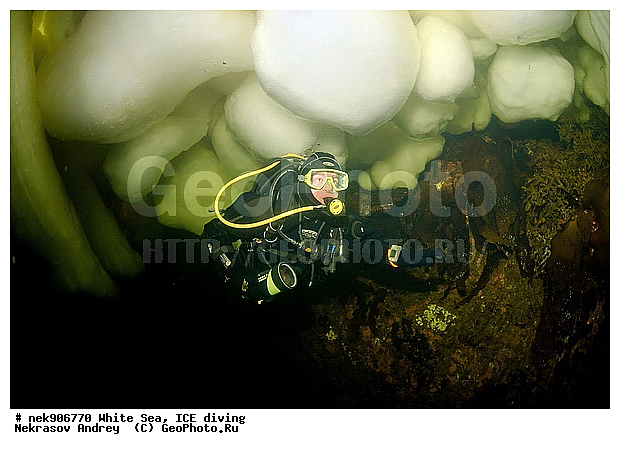 ICE diving, �������, �����������, �����������, �����������, �����������, ����� ����, ����������, ����������, ����������, �������, ��������� ���, ������, ������� �����, ��������, �����������, ������������, �����, �����, ����, ������, ������, ������, �����, ������, �������, ���������, ����, ���, �������, ����������, ����������, ������, �������, �������, �������, �������, �����, ������, �����, ����, �����, ����, ������, ������, ��������, ���, ���������, ��������� ����������, ���������, ��������� ��������, ���������, ���������, ��������� ���, ��������, ���������, ���������, ��������� ��������, ���������, ���������, ��������� �������, ����������, ���������, ��������, �����������, �����������, �����, ������, ��������, ��������, ��������, ������, �����, ����, �������, �����, �����, ������, ������, �������, �������� ����, ����������� ����, ����� ����, �����������, �����������, ����� ����