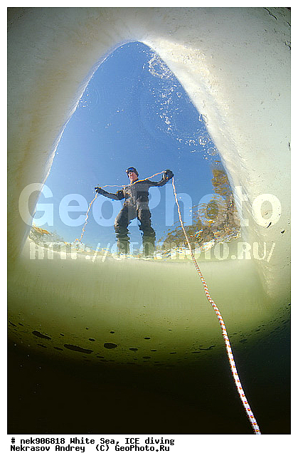 ICE diving, �������, �����������, �����������, �����������, �����������, ����� ����, ����������, ����������, ����������, �������, ��������� ���, ������, ������� �����, ��������, �����������, ������������, �����, �����, ����, ������, ������, ������, �����, ������, �������, ���������, ����, ���, �������, ����������, ����������, ������, �������, �������, �������, �������, �����, ������, �����, ����, �����, ����, ������, ������, ��������, ���, ���������, ��������� ����������, ���������, ��������� ��������, ���������, ���������, ��������� ���, ��������, ���������, ���������, ��������� ��������, ���������, ���������, ��������� �������, ����������, ���������, ��������, �����������, �����������, �����, ������, ��������, ��������, ��������, ������, �����, ����, �������, �����, �����, ������, ������, �������, �������� ����, ����������� ����, ����� ����, �����������, �����������, ����� ����