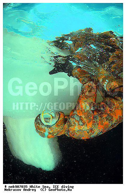 ICE diving, �������, �����������, �����������, �����������, �����������, ����� ����, ����������, ����������, ����������, �������, ��������� ���, ������, ������� �����, ��������, �����������, ������������, �����, �����, �����, ����, ������, ������, ������, �����, ������, �������, �������� �������, ���������, ����, ���, �������, ����������, ����������, ������, �������, �������, �������, �������, �����, ������, �����, ����, �����, ����, ������, ������, ��������, ���, ���������, ��������� ����������, ���������, ��������� ��������, ���������, ���������, ��������� ���, ��������, ���������, ���������, ��������� ��������, ���������, ���������, ��������� �������, ��������� ����������, ����������, ���������, ��������, �����������, �����������, �����, ������, ��������, ��������, ��������, ������, ���� �������, �����, ����, �������, �����, �����, ������, ������, ���-�������, ���������, ��� �������, ����������, �������, �������� ����, ����������� ����, ����� ����, �����������, �����������, ����� ����