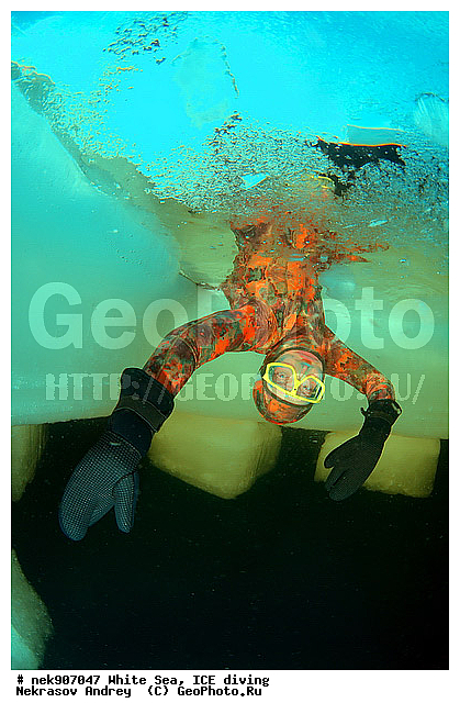 ICE diving, �������, �����������, �����������, �����������, �����������, ����� ����, ����������, ����������, ����������, �������, ��������� ���, ������, ������� �����, ��������, �����������, ������������, �����, �����, �����, ����, ������, ������, ������, �����, ������, �������, �������� �������, ���������, ����, ���, �������, ����������, ����������, ������, �������, �������, �������, �������, �����, ������, �����, ����, �����, ����, ������, ������, ��������, ���, ���������, ��������� ����������, ���������, ��������� ��������, ���������, ���������, ��������� ���, ���������, ���������, ��������� ��������, ���������, ���������, ��������� �������, ��������� ����������, ����������, ���������, ��������, �����������, �����������, �����, ������, ��������, ��������, ��������, ������, ���� �������, �����, ����, �������, �����, �����, ������, ������, ���-�������, ���������, ����������, ��� �������, �������, �������� ����, ����������� ����, ����� ����, �����������, �����������, ����� ����