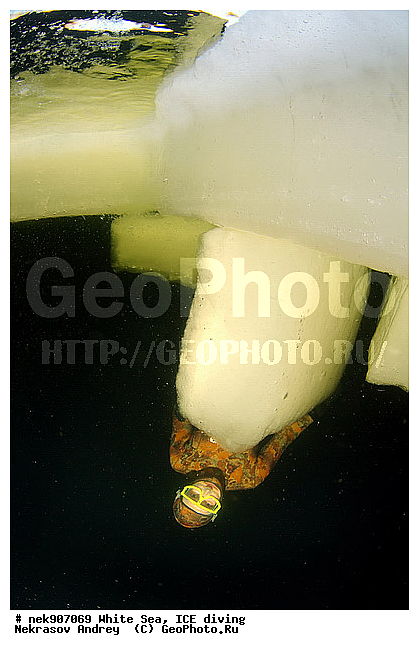 ICE diving, �������, �����������, �����������, �����������, �����������, ����� ����, ����������, ����������, ����������, �������, ��������� ���, ������, ������� �����, ��������, �����������, ������������, �����, �����, �����, ����, ������, ������, ������, �����, ������, �������, �������� �������, ���������, ����, ���, �������, ����������, ����������, ������, �������, �������, �������, �������, �����, ������, �����, ����, �����, ����, ������, ������, ��������, ���, ���������, ��������� ����������, ���������, ��������� ��������, ���������, ���������, ��������� ���, ��������, ���������, ���������, ��������� ��������, ���������, ���������, ��������� �������, ��������� ����������, ����������, ���������, ��������, �����������, �����������, �����, ������, ��������, ��������, ��������, ������, ���� �������, �����, ����, �������, �����, �����, ������, ������, ���-�������, ���������, ��� �������, ����������, �������, �������� ����, ����������� ����, ����� ����, �����������, �����������, ����� ����