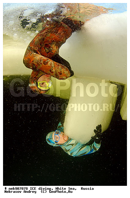 ICE diving, �������, �����������, �����������, �����������, �����������, ����� ����, ����������, ����������, ����������, �������, ��������� ���, ������, ������� �����, �����������, ������������, �����, �����, �����, ����, ������, ������, ������, �����, ������, �������, �������� �������, ���������, ����, ���, �������, ����������, ����������, ������, �������, �������, �������, �������, �����, ������, �����, ����, �����, ������, ��������, ���, ���������, ��������� ����������, ���������, ��������� ��������, ���������, ���������, ���������, ���������, ��������� ��������, ���������, ���������, ��������� �������, ��������� ����������, ����������, ���������, ��������, �����������, �����������, �����, ������, ��������, ��������, ��������, ������, ���� �������, ����, �������, �����, ������, ���-�������, ���������, ����������, ��� �������, �������, �������� ����, ����������� ����, ����� ����, �����������, �����������, ����� ����