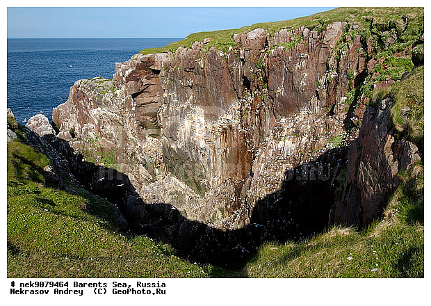 Aves, Linnaeus, �������, �������, �����������, �����������, �����������, �����������, ���������, ��������� ����, ��������, ����������, ����������, ����������, �������� ����������, �������� ������, ������, ���������� �������, ��������, �����������, ������, ������� �����, ������������, ���� ��������, ������, ������, ��������, ������������, ���������, �����������, ����������� ������, �����, ������, ����, ���������, ����������, ���������� ������������, ���������, ����, ������, �����, ����, ������� �����, ������� �����, ������, ������, ������ ������, �������, �����, ��������, ����������, ��������, ��������, �������, ������� �������, �����, �����, ������ �����, ������, ������ ������, �����������, �����, ������, ��������, ��������, ��������, ������, ������, ������, �����