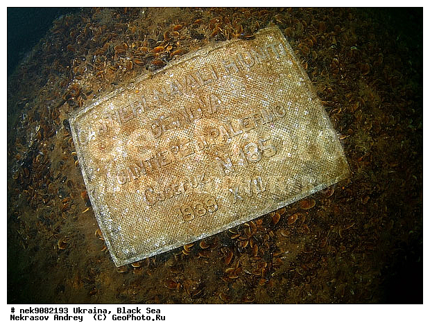 ���, ������, ���, ��� �������, ����, ������, ������, �������, ������, ������ ����, ������, ������, ���������������, ����������, �, ����, ������, ������, ������, �����, �������, �������, �����, ����� �� ����, �����, ������, ������, �������, ���, �����, ����������, ����������, ���������� ������, �����������, ������������, �������, ���������������, �������, ��������, ����, �������, ��, ������, �������� �����, ��������, ������, ���, ���������, ���������, ���������, ���������, ��������� ���, ���������, ���������, ���������, ���, ���-�������, ����, ����, �����, ���������, ������������ �����, ������������, ������������, ������������, ���������� �����