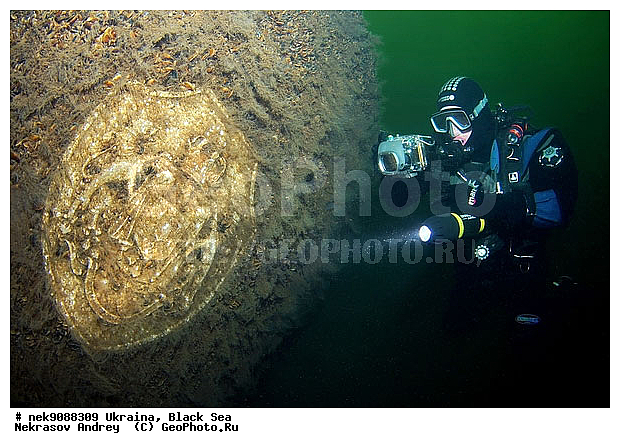 ���, ������, ���, ��� �������, ����, ������, ������, �������, ������, ������ ����, ������, ������, ���������������, ����������, �, ����, ������, ������, ������, �����, �������, �������, �����, ����� �� ����, �����, ������, ������, �������, ���, �����, ����������, ����������, ���������� ������, �����������, ������������, �������, ���������������, �������, ��������, ����, �������, ��, ������, �������� �����, ��������, ������, ���, ���������, ���������, ���������, ���������, ��������� ���, ���������, ���������, ���������, ���, ���-�������, ����, ����, �����, ���������, ������������ �����, ������������, ������������, ������������, ���������� �����