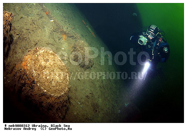 ���, ������, ���, ��� �������, ����, ������, ������, �������, ������, ������ ����, ������, ������, ���������������, ����������, �, ����, ������, ������, �����, �������, �������, �����, ����� �� ����, �����, ������, ������, �������, ���, �����, ����������, ����������, ���������� ������, �����������, ������������, �������, ���������������, �������, ��������, ����, �������, ��, ������, �������� �����, ��������, ������, ���, ���������, ���������, ���������, ��������� ���, ��������, ���������, ���������, ���������, ���, ���-�������, ����, ����, �����, ���������, ������������ �����, ������������, ������������, ������������, ���������� �����