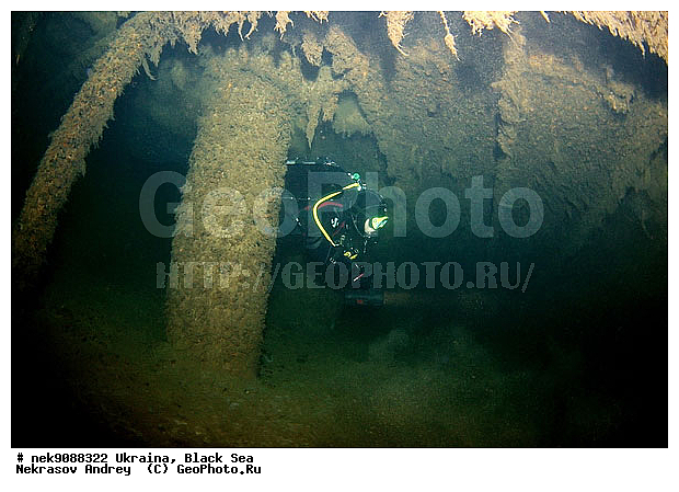 ���, ������, ���, ��� �������, ����, ������, ������, �������, ������, ������ ����, ������, ������, ���������������, ����������, �, ����, ������, ������, �����, �������, �������, �����, ����� �� ����, �����, ������, ������, �������, ���, �����, ����������, ����������, ���������� ������, �����������, ������������, �������, ���������������, �������, ��������, ����, �������, ��, ������, �������� �����, ��������, ������, ���, ���������, ���������, ���������, ��������� ���, ��������, ���������, ���������, ���������, ���, ���-�������, ����, ����, �����, ���������, ������������ �����, ������������, ������������, ������������, ���������� �����