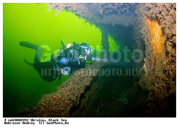 ���, ������, ���, ��� �������, ����, ������, ������, �������, ������, ������ ����, ������, ������, ���������������, ����������, �, ����, ������, ������, ������, �����, �������, �����, ����� �� ����, �����, ������, ������, �������, ���, �����, ����������, ����������, ���������� ������, �����������, ������������, �������, ���������������, �������, ��������, ����, �������, ��, ������, �������� �����, ��������, ������, ���, ���������, ���������, ���������, ���������, ��������� ���, ���������, ���������, ���������, ���, ���-�������, ����, ����, �����, ���������, ������������ �����, ������������, ������������, ������������, ���������� �����