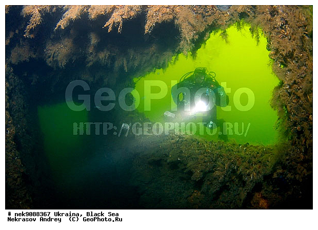 ���, ������, ���, ��� �������, ����, ������, ������, �������, ������, ������ ����, ������, ������, ���������������, ����������, �, ����, ������, ������, ������, �����, �������, �����, ����� �� ����, �����, ������, ������, �������, ���, �����, ����������, ����������, ���������� ������, �����������, ������������, �������, ���������������, �������, ��������, ����, �������, ��, ������, �������� �����, ��������, ������, ���, ���������, ���������, ���������, ���������, ��������� ���, ���������, ���������, ���������, ���, ���-�������, ����, ����, �����, ���������, ������������ �����, ������������, ������������, ������������, ���������� �����