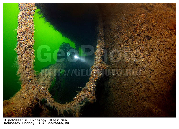 ���, ������, ���, ��� �������, ����, ������, ������, �������, ������, ������ ����, ������, ������, ���������������, ����������, �, ����, ������, ������, ������, �����, �������, �����, ����� �� ����, �����, ������, ������, �������, ���, �����, ����������, ����������, ���������� ������, �����������, ������������, �������, ���������������, �������, ��������, ����, �������, ��, ������, �������� �����, ��������, ������, ���, ���������, ���������, ���������, ���������, ��������� ���, ���������, ���������, ���������, ���, ���-�������, ����, ����, �����, ���������, ������������ �����, ������������, ������������, ������������, ���������� �����