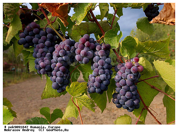 ������, �����������, �����������, �����������, �������, �����������, �, ��������, �����, ���������, ���������, ���������, �������, �����������, ��������, ���������, ��, �������, �����������, �����������, ���������, ���������, ���������, ���������, ���������, ����, ��������, �������� �����, ������, ������, ������, �������������, �������������, �������������, �������������