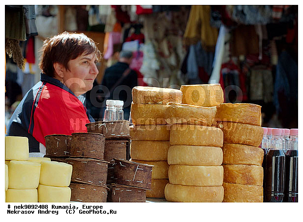 �������, ������, �����������, �����������, �����������, �������, �����, �����������, �, ��������, ���������, ��, ��������, ���������, ���������, ���������, ���������, ���������, ���, ������, �������������, �������������, �������������, �������������