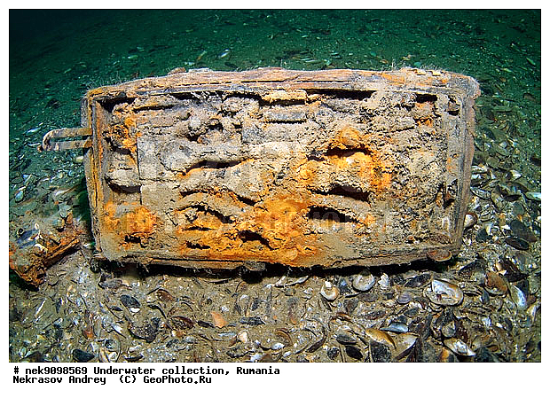 ����������, �������� �������, ��� �������, ����, �������, ������, ������ ����, ������, ������, ��������, ���������, ���������������, ����������, �, ����, ������, ������, �����, �������, �������, �����, ����� �� ����, �����, ������, ������, �������, ���, ����������, ����������, ����������, ���������� ������, �����������, ����������, �����������, ������������, �������, ���������������, �������, �����, �������� �����, ��������, ��������� ����������, ���������, ����, �������, ��, �������, �������, ������, ������ �������, ��������, ������, ���, ���������, ���������, ���������, ���������, ��������� ���, ��� �����, ��������, ���������, ���, ����������� �������, ���, ���-�������, ����, ����, �����, ������������, ������������, ������������, ����������� ���������, ����, ���������� �����