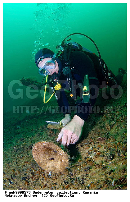 ����������, �������� �������, ��� �������, ����, �������, ������, ������ ����, ������, ������, ��������, ���������, ���������������, ����������, �, ����, ������, ������, �����, �������, �������, �����, ����� �� ����, �����, ������, �����, ������, �������, ���, �����, ����������, ����������, ����������, ���������� ������, �����������, ������������, �������, ���������������, �������, �����, �������� �����, ��������, ��������� ����������, ���������, ����, �������, ��, �������, �������, ������, ������ �������, ��������, ������, ���, ���������, ���������, ���������, ���������, ��������� ���, ��� �����, ��������, ���������, ���, ����������� �������, ���, ���-�������, ����, ������, ����, �����, �����, ������������, ������������, ������������, ����������� ���������, ���������� �����