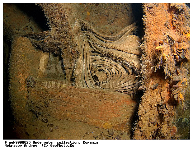 ����������, �������� �������, ��� �������, ����, �������, ������, ������ ����, ������, ������, ���������������, ����������, ����, �, ����, ������, ������, �����, �������, �������, �����, ����� �� ����, �����, ������, ������, �������, ���, ����������, ����������, ����������, ���������� ������, �����������, ������������, �������, ���������������, �������, �����, �������� �����, ��������, ��������� ����������, ���������, ����, �������, ��, ������, ������ �������, ��������, ������, ���, ���������, ���������, ���������, ���������, ��������� ���, ��� �����, ��������, ��������, �������� �����, ���������, ���, ���, ���-�������, ����, ����, �����, ������������, ������������, ������������, �����, ����������� ���������, ���������� �����