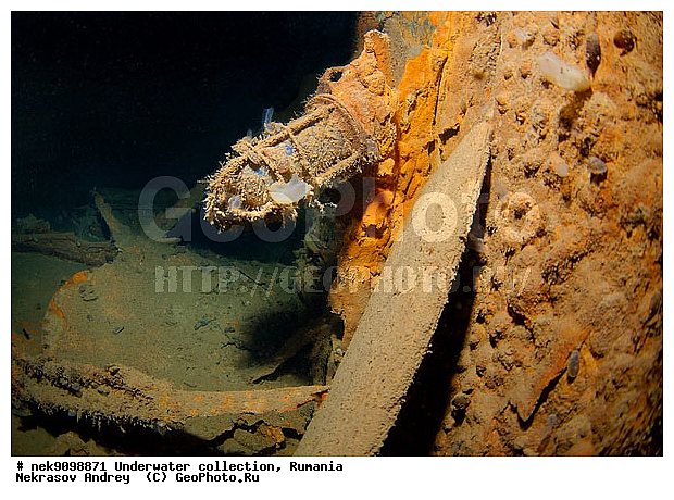 ����������, �������� �������, ��� �������, ����, �������, ������, ������ ����, ������, ������, ���������������, ����������, �, ����, ������, ������, ������, �����, �������, �����, ����� �� ����, �����, ������, ������, �������, ���, ����������, ����������, ����������, ���������� ������, �����������, ������������, �������, ���������������, �������, ��������, ��������� ����������, ������, �������� ���������, ���������, ����, �������, ��, ���, ������� �����, ������, ������ �������, ��������, ������, ���, ���������, ���������, ���������, ���������, ��������� ���, ��� �����, ���������, ���, ���, ���-�������, ����, ����, �����, ������, ������������, ������������, ������������, ����������� ���������, ���������� �����