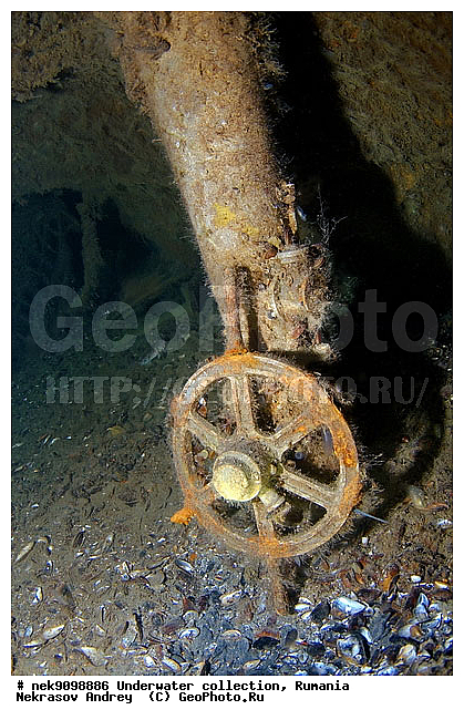 ����������, �������� �������, ��� �������, ����, �������, ������, ������ ����, ������, ������, ���������������, ����������, �, ����, ������, ������, ������, �����, �������, �����, ����� �� ����, �����, ������, ������, �������, ���, ����������, ����������, ����������, ���������� ������, �����������, ������������, �������, ���������������, �������, ��������, ��������� ����������, ���������, ����, �������, ��, ���, ������� �����, ������, ������ �������, ��������, ������, ���, ���������, ���������, ���������, ���������, ��������� ���, ��� �����, ���������, ���, ���, ���-�������, ����, ����, �����, ������������, ������������, ������������, �������, ����������� ���������, ���������� �����