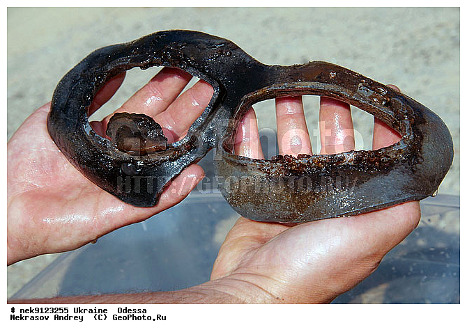 ���, �������� ������� ������ "JU-52", ������, ��� �������, ����, �������, ������, ������ ����, ������, ������, ��������, ���������, ���������������, ����������, ����, �, ����, ������, ������, ������, �����, �������, �����, ����� �� ����, �����, ������, ������, �������, ���, ����������, ����������, ����������, ���������� ������, �����������, ������������, �������, ���������������, ��������, ����, �������, ��, �������, �������, ������, ����, ��������, ������, ���, ���������, ���������, ���������, ���������, ��������� ���, ��� �����, ���������, ���, ����������� �������, ���, ���-�������, ����, �������, ������, ������������, ������������, ������������, ���������� �����