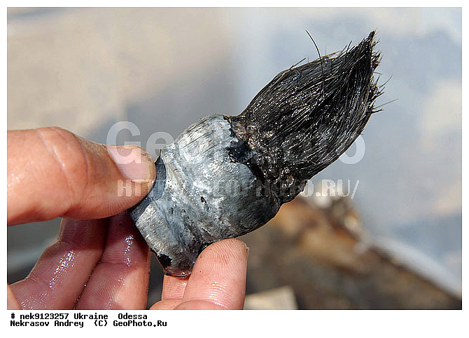 ���, �������� ������� ������ "JU-52", ������, ��� �������, ����, �������, ������, ������ ����, ������, ������, ��������, ���������, ���������������, ����������, ����, �, ����, ������, ������, �����, �������, �������, �����, ����� �� ����, �����, ������, ������, �������, ���, ����������, ����������, ����������, ���������� ������, �����������, ������������, �������, ���������������, ��������, ����, �������, ��, �������, �������, ������, ��������, ������, ���, ���������, ���������, ���������, ���������, ��������� ���, ��� �����, ��������, �������, ���������, ���, ����������� �������, ���, ���-�������, ����, �������, ������, ������������, ������������, ������������, ���������� �����