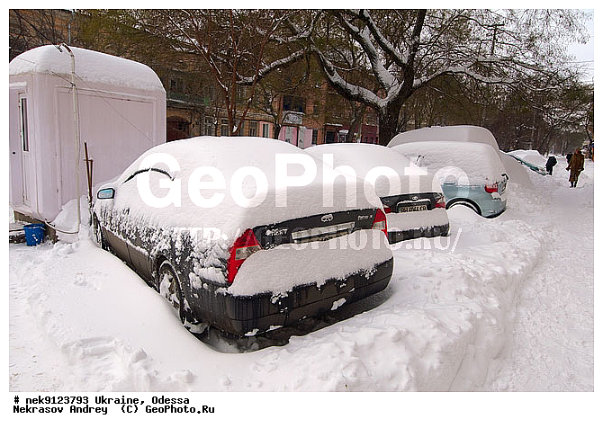 ������, �������, ����, ����������, �����, �����������, ����, ������, ������, ����, ��������, ������