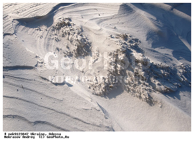 ������, �������, �����, �����, �����, �����, �����������, ����, ������, ������, ����, ��������, ���������, ��������, �������� �����, ��������, �������, ���, ������