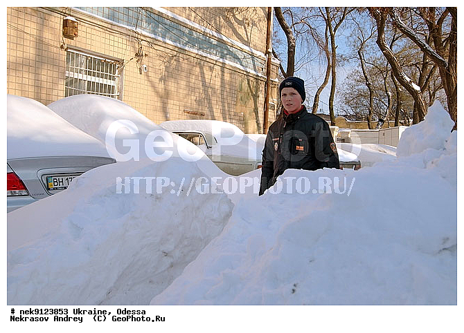 ������, �������, �����, ����, ���, �����������, ����, ������, �������, �������, ����, ��������, ������, �������